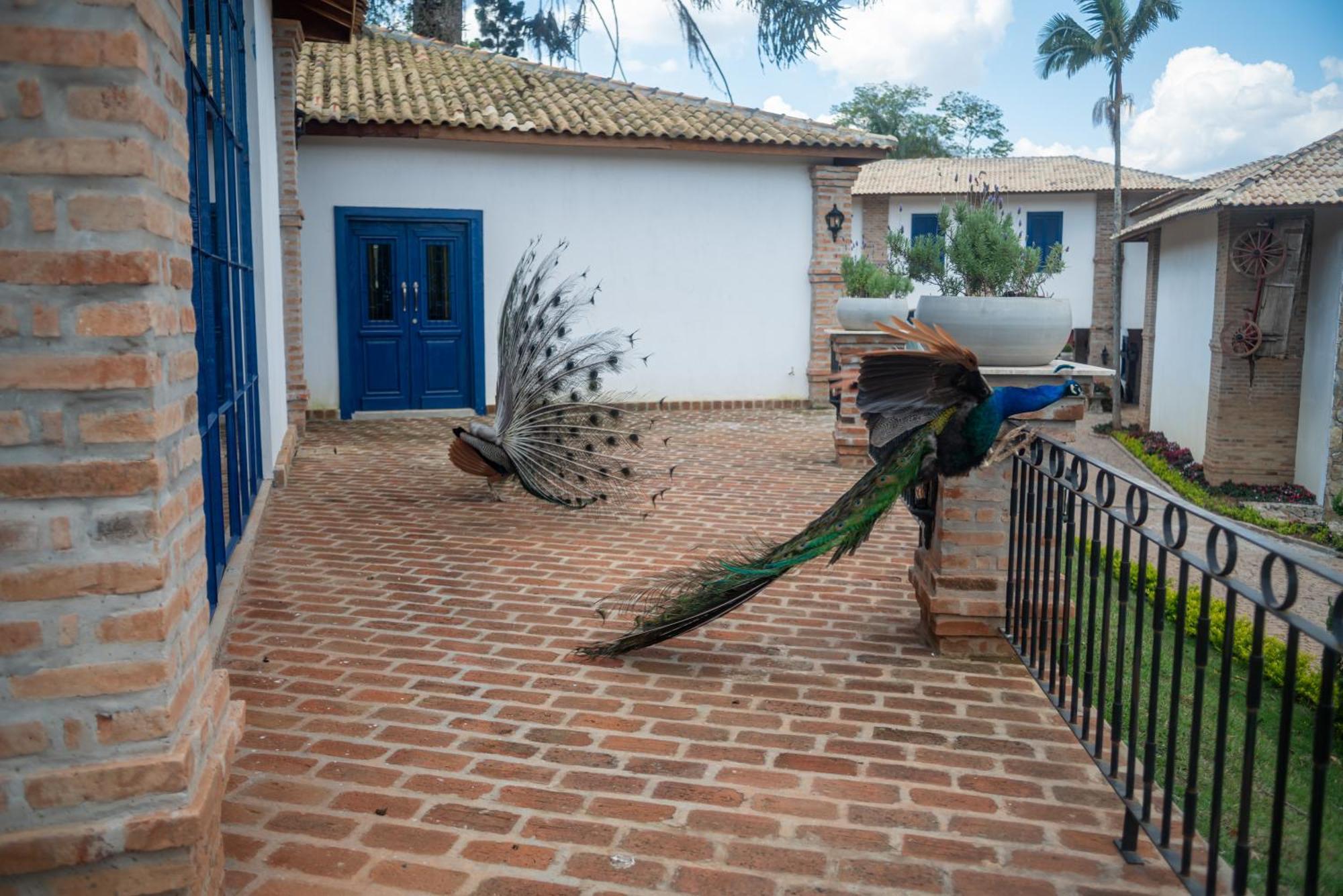 Hotel Fazenda Sao Silvano Morungaba Exteriér fotografie