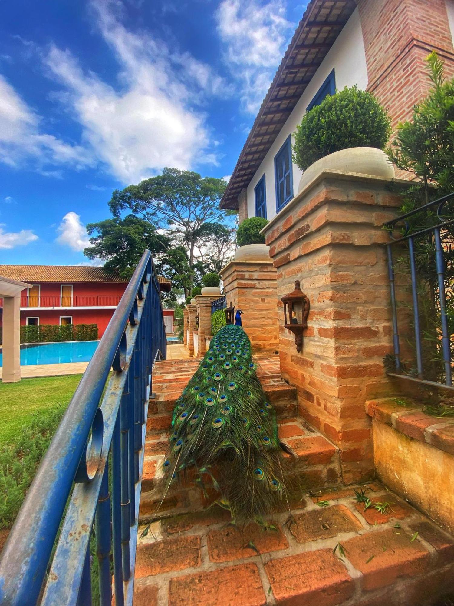 Hotel Fazenda Sao Silvano Morungaba Exteriér fotografie